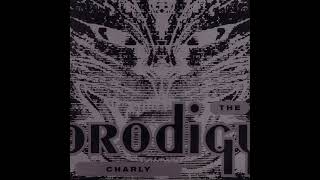 The Prodigy  Charly Original Mix [upl. by Eirrak]