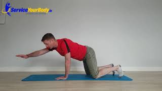 AC Joint Separation Rehab Exercises [upl. by Ule]