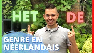 DE et HET 👀 le genre en néerlandais  plus jamais des doutes 😎 Apprendre le néerlandais [upl. by Deppy]