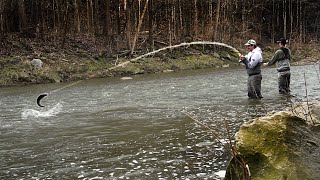 Spring Steelhead Fly Fishing  Indicator Down April 2022 [upl. by Kira]