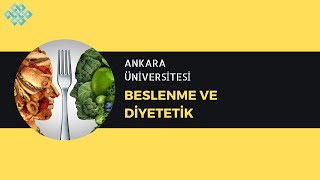 Ankara ÜniversitesiBeslenme ve Diyetetik  Beslenme ve Diyetetik Başarı Sırası İş İmkanları Maaş [upl. by Ecinna311]