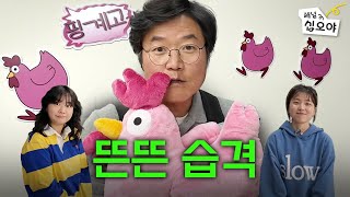 뜬뜬방문은 핑계고  🎥라이브 짧게보기 [upl. by Eirac]