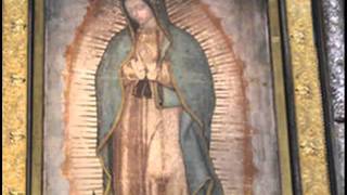 The Amazing and Miraculous Image of Our Lady of Guadalupe  Full Length [upl. by Acirretahs535]