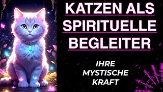 Die mystische Energie der Katze Warum sie als spirituelles Wesen gilt katze spiritualität [upl. by Zailer]