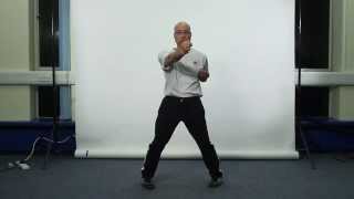 Wing Chun Forms First Form  Siu Lim Tau  Learning Version Whole Form [upl. by Babbie]