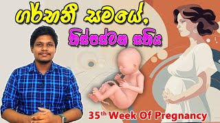 Pregnancy 35th Week  Sinhala Medical Review  අම්මයි බබයි [upl. by Yanahs646]