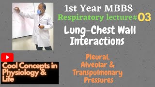 3 LungChest Wall Interactions  Pleural Alveolar amp Transpulmonary Pressures 1st Year MBBS [upl. by Grevera747]