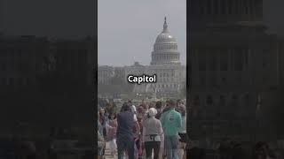 Discover Washington DC in 60 Seconds [upl. by Follmer]