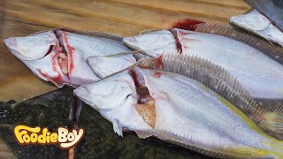 도다리 세꼬시 회  Unboned Sliced Raw Flounder  Korean Street Food  포항 죽도어시장 [upl. by Suciram]