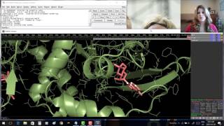 Pymol for Beginners  video 4 Hbonds [upl. by Quitt]