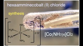 Making Hexaamminecobalt II chloride  CoNH36Cl2 [upl. by Nywde]