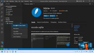 EXPIRED  View SQLite Database in Visual Studio Code [upl. by Cressida]