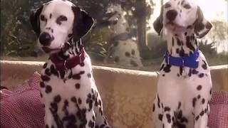 Disney Sing Along Songs Pongo amp Perdita 101 Dalmatians [upl. by Amsirahc]