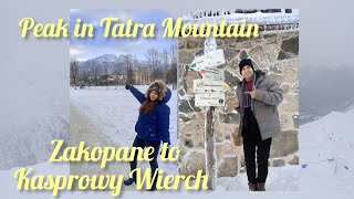 Kasprowy Wierch Tatra Mountain in Poland Unforgettable Journey of Zakopane part 1 zakopane [upl. by Delainey925]