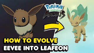 HOW TO Evolve Eevee into Leafeon in Pokémon Ultra Sun and Ultra Moon [upl. by Fiore493]