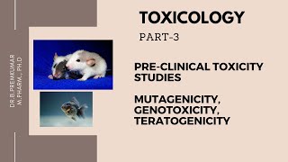 Toxicology Part3Mutagenicity Genotoxicity Teratogenicity [upl. by Martelli]