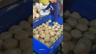 The Best Coconut Packaging Process in Thailand [upl. by Neffirg670]