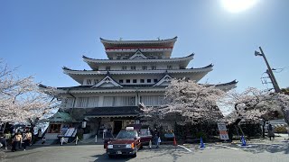 熱海の桜～熱海城→秘宝館→ニューアカオ20210326 [upl. by Theola]