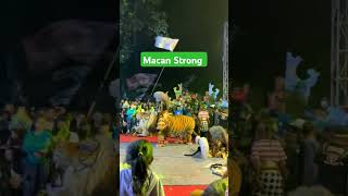 viralvideo jaranan macanan viralshorts baronganmacan fyp live lion tiger saleho scary [upl. by Eimor806]