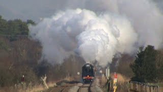 71000 Duke of Gloucester at Speed [upl. by Biddie]