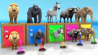 Mammoth Elephant Lion Gorilla Buffalo Guess The Right Key ESCAPE ROOM CHALLENGE Animals Cage Game [upl. by Gardia922]