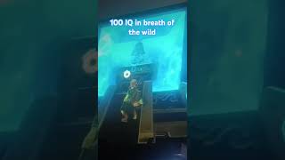 The legend of Zelda breath of the wild 100 IQ zelda nintendo videogames 100IQ [upl. by Amilas788]