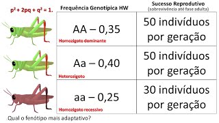 Seleção Natural e Adaptação [upl. by Rramel467]