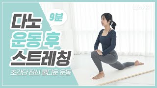 운동 효과 200 끌어올리고 근육통💪 줄여주는 운동 후 스트레칭🏃‍♀️ㅣ다노티비 [upl. by Hguh]