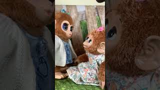 Furreal Peanut The Playful Monkey amp Cuddles My Giggling Monkey furreal funny cute shorts short [upl. by Ahsiemac349]