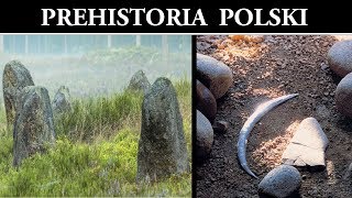 Prehistoria Polski  Tajemnicze Kręgi i Grobowce oraz Rekordowe Artefakty [upl. by Eirac]