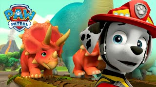 Pieski ratują Krainę Dinozaurów przed wybuchem wulkanu i nie tylko Psi Patrol PAW Patrol po polsku [upl. by Intyrb]