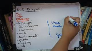 RENAL PATHOLOGY lecture 13a ACUTE PYELONEPHRITIS must watch to get it [upl. by Andrews]