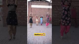 Wedding Punjabi Song Dance🤩  Reet Punjab Di [upl. by Airol]