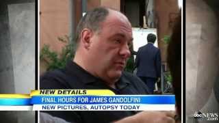 James Gandolfini Dead Cause of Death Being Confirmed by Autopsy Actor Was Practically Dead at ER [upl. by Atilek]