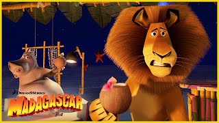 ¡¿Llamas a eso comida  DreamWorks Madagascar en Español Latino [upl. by Eimak]