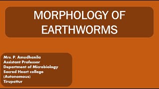 MORPHOLOGYMORPHOLOGY OF EARTHWORMVERMITECHNOLOGYEARTHWORM [upl. by Oniuqa]