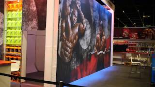 FIBO 2019  Scitec Nutrition booth [upl. by Cantone915]