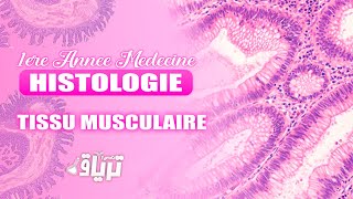 HISTOLOGIE 1ère année  TMC CAMP  TISSU MUSCULAIRE  By Chifa [upl. by Jeri]