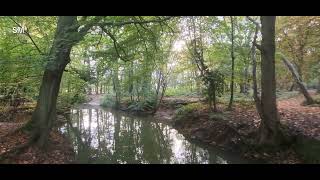 Coombe Abbey Country Park Coventry England [upl. by Anoel699]