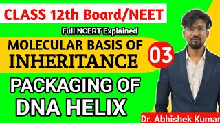 Packaging of DNA HELIX  NEET Biology 2025  NCERT Class12 [upl. by Ecinaej]