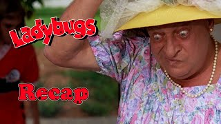 Ladybugs Full Movie Recap [upl. by Annabel772]