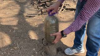 Como hacer potente abono orgánico liquido para arboles y plantas utilizando café y ceniza [upl. by Joella997]