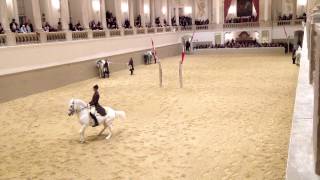 Spanische Reitschule Wien Video 4 [upl. by Ienttirb]