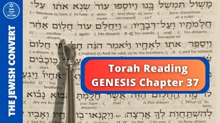 Genesis Chapter 37  Torah Reading in Hebrew amp English Translation  TORAH STUDY [upl. by Talich33]