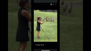 Kangaroos Have Mastered The Art Of Golf [upl. by Hughes719]