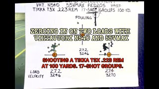 Zeroing in on Two Loads with VihtaVuori N540 and 55VMAX [upl. by Nessi]