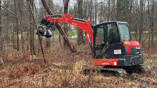 Mulchers for minis FAE BL1EX mulcher head on Kubota KX05705 excavator [upl. by Warms]