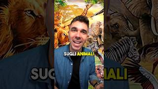 COSE ASSURDE CHE NON SAI SUGLI ANIMALI 😅 [upl. by Ytsud]