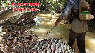 Electro Fishing In Small River  Electrofishing Technique [upl. by Weidner774]