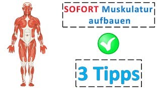 Schneller Weg zum Muskelaufbau 3 Tipps sofort anwenden und Muskulatur aufbauen michaelcoenenonline [upl. by Eirroc141]